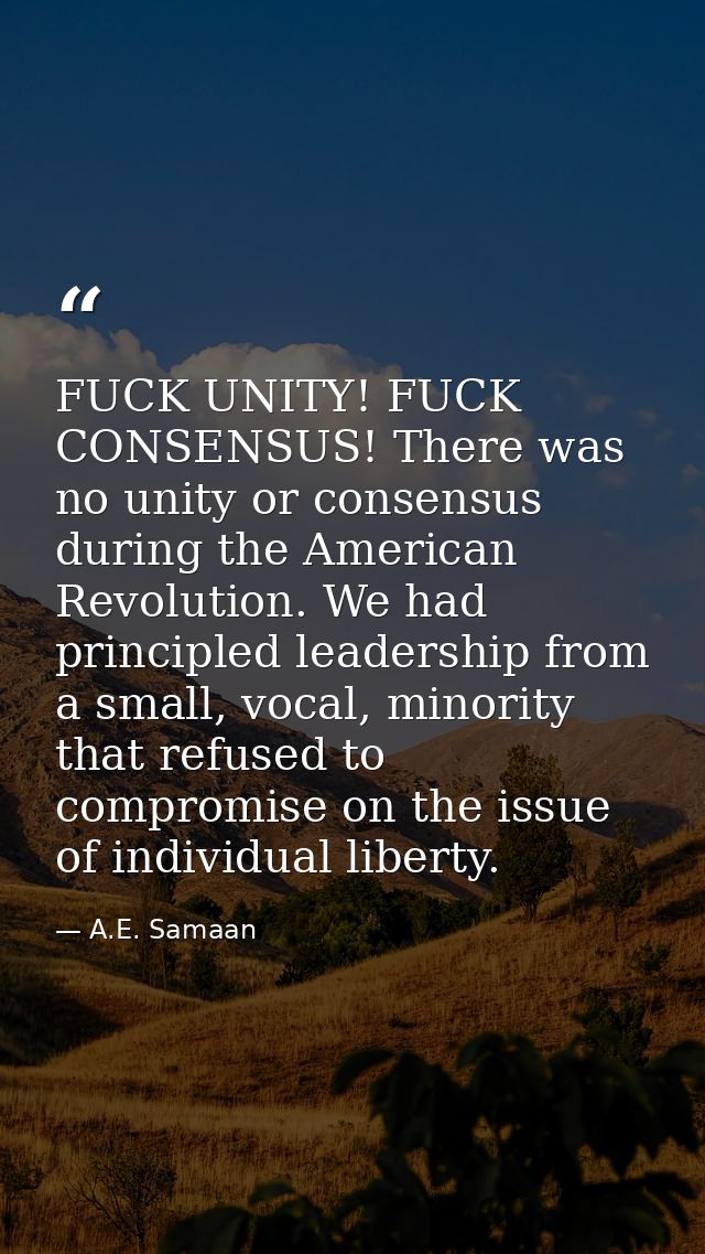 FUCK UNITY! FUCK CONSENSUS! There was no unity or consensus during the American Revolution. We had principled leadership — A.E. Samaan