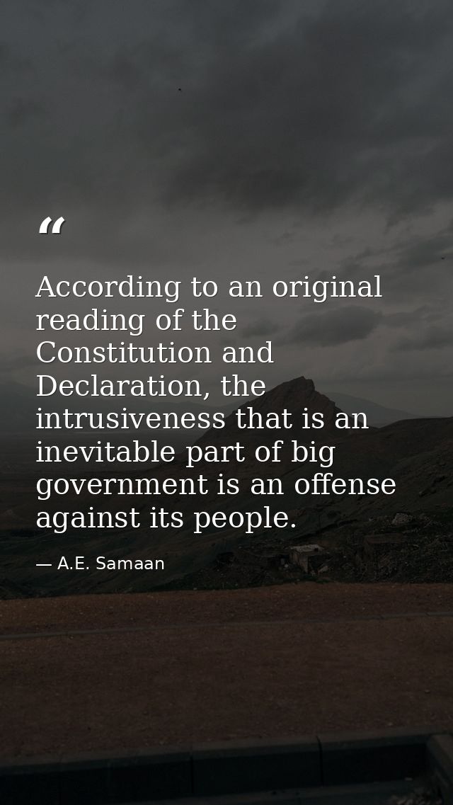 According to an original reading of the Constitution and Declaration, the intrusiveness that is an inevitable part of bi — A.E. Samaan