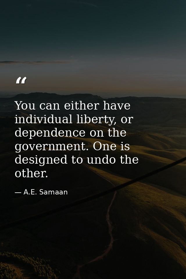 You can either have individual liberty, or dependence on the government. One is designed to undo the other. — A.E. Samaan