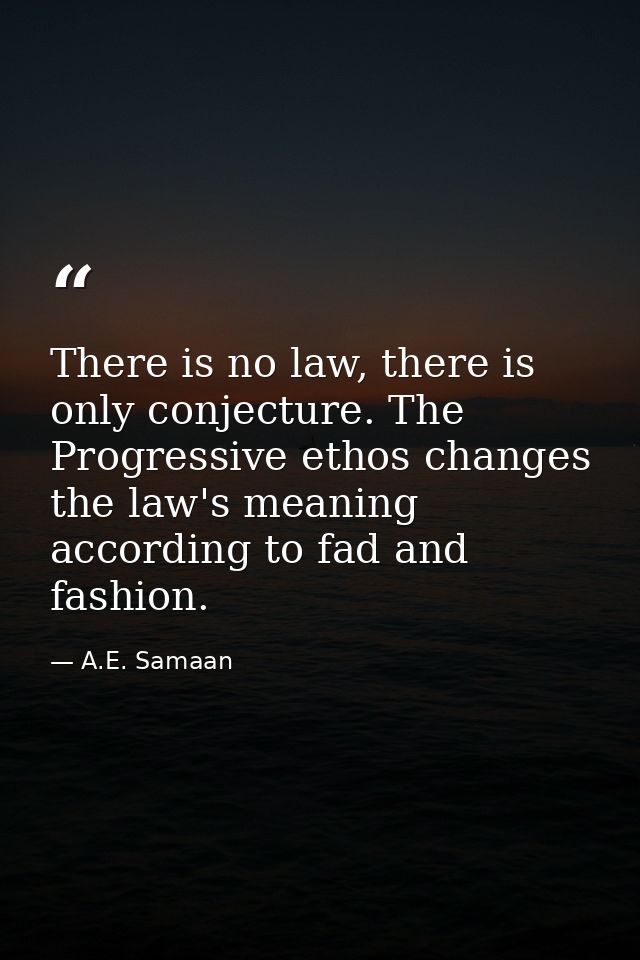 There is no law, there is only conjecture. The Progressive ethos changes the law's meaning according to fad and fashion. — A.E. Samaan