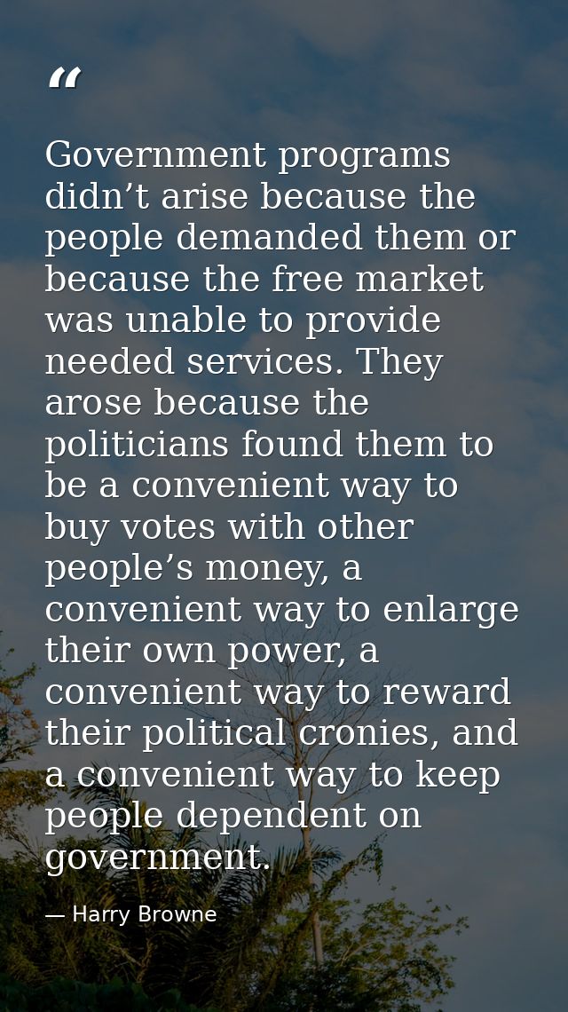 Government programs didn’t arise because the people demanded them or because the free market was unable to provide neede — Harry Browne