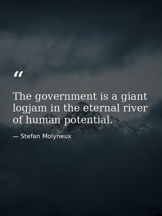 The government is a giant logjam in the eternal river of human potential. — Stefan Molyneux