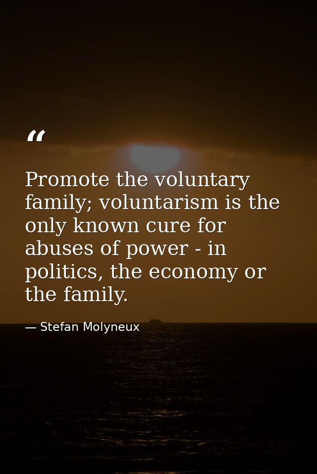 Promote the voluntary family; voluntarism is the only known cure for abuses of power - in politics, the economy or the f — Stefan Molyneux