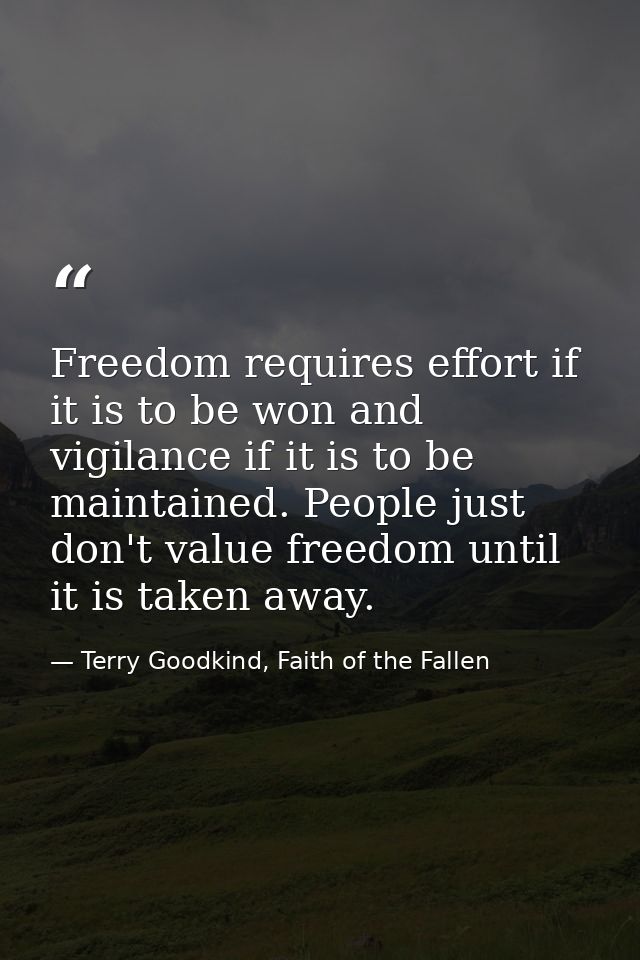 Freedom requires effort if it is to be won and vigilance if it is to be maintained. People just don't value freedom unti — Terry Goodkind, Faith of the Fallen