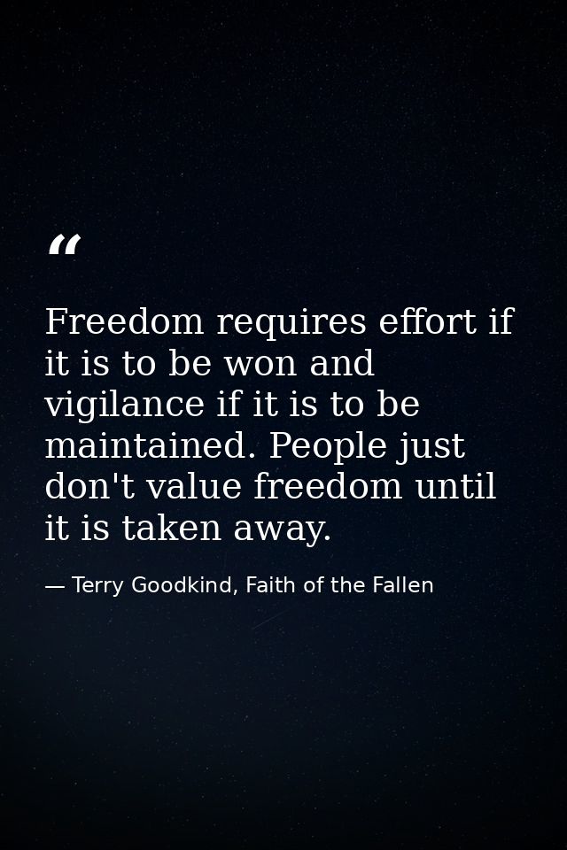 Freedom requires effort if it is to be won and vigilance if it is to be maintained. People just don't value freedom unti — Terry Goodkind, Faith of the Fallen