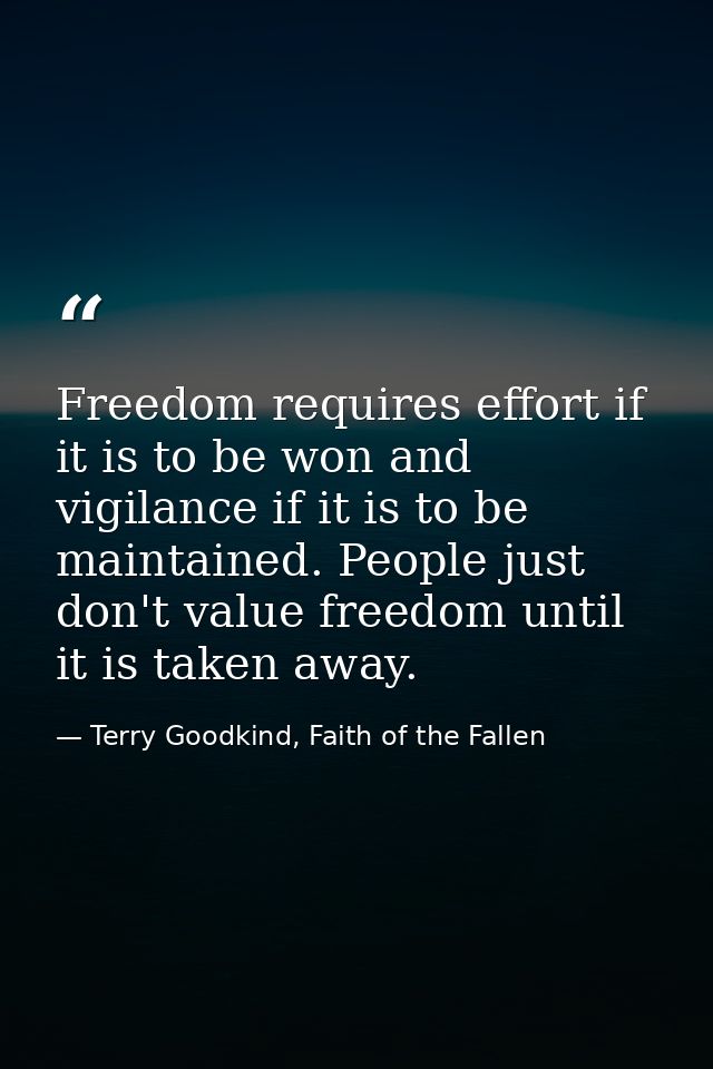 Freedom requires effort if it is to be won and vigilance if it is to be maintained. People just don't value freedom unti — Terry Goodkind, Faith of the Fallen