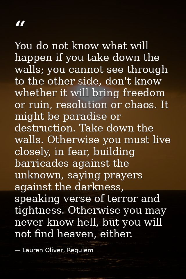 You do not know what will happen if you take down the walls; you cannot see through to the other side, don't know whethe — Lauren Oliver, Requiem