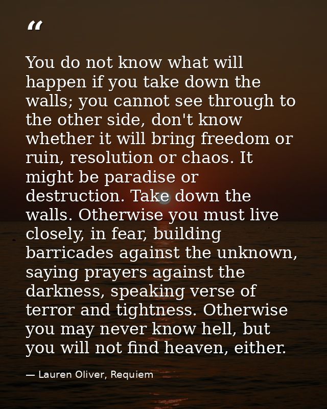 You do not know what will happen if you take down the walls; you cannot see through to the other side, don't know whethe — Lauren Oliver, Requiem