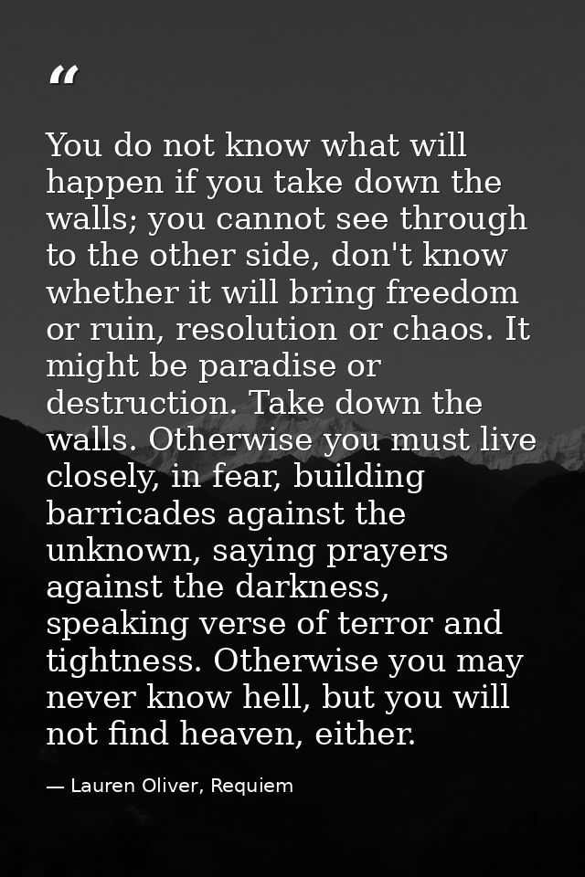 You do not know what will happen if you take down the walls; you cannot see through to the other side, don't know whethe — Lauren Oliver, Requiem