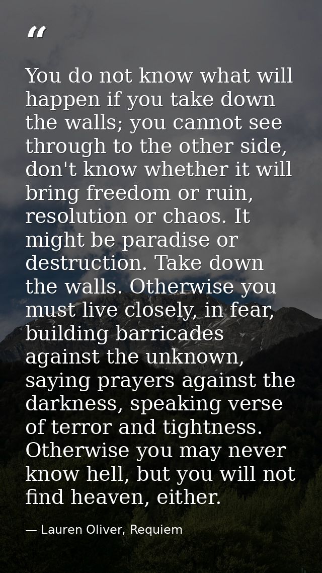 You do not know what will happen if you take down the walls; you cannot see through to the other side, don't know whethe — Lauren Oliver, Requiem