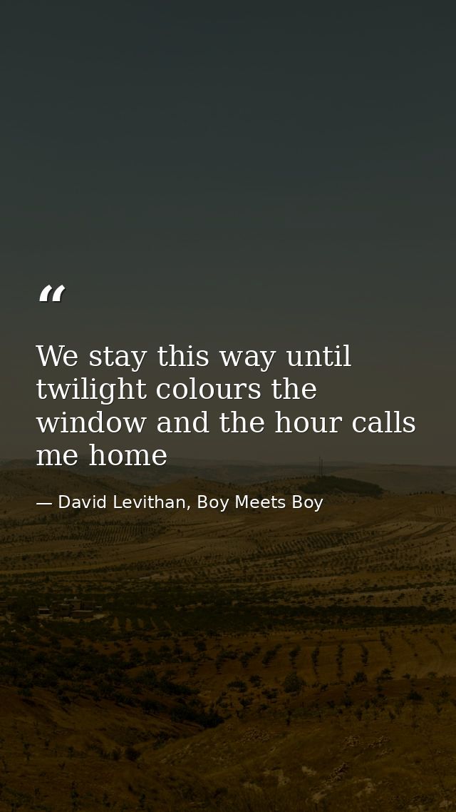 We stay this way until twilight colours the window and the hour calls me home — David Levithan, Boy Meets Boy