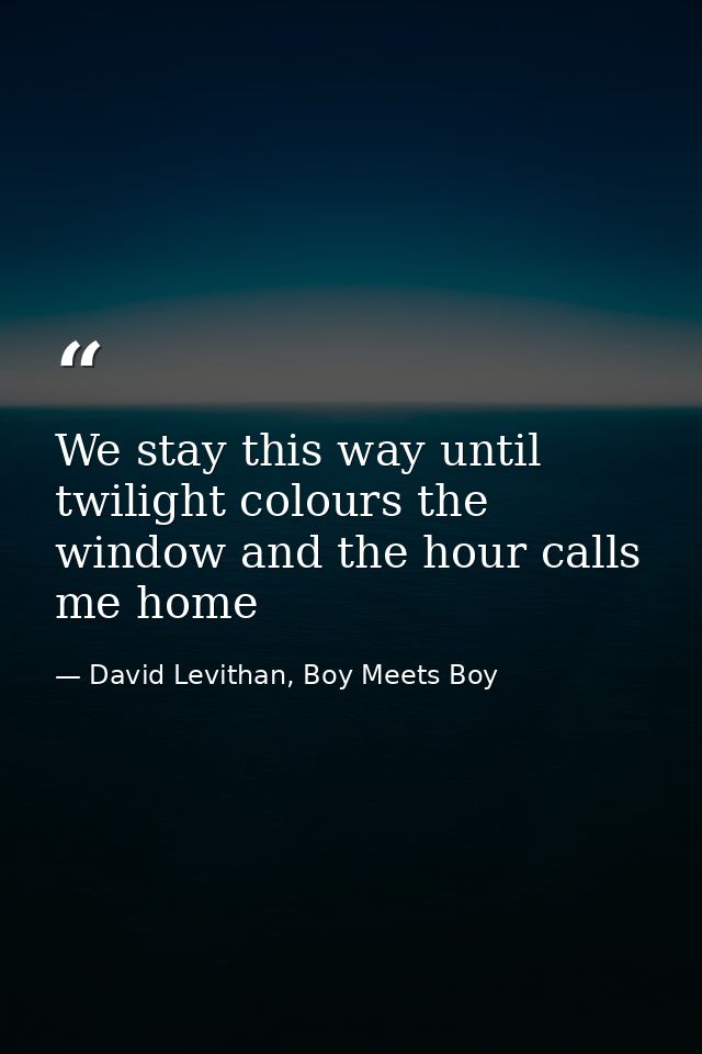 We stay this way until twilight colours the window and the hour calls me home — David Levithan, Boy Meets Boy