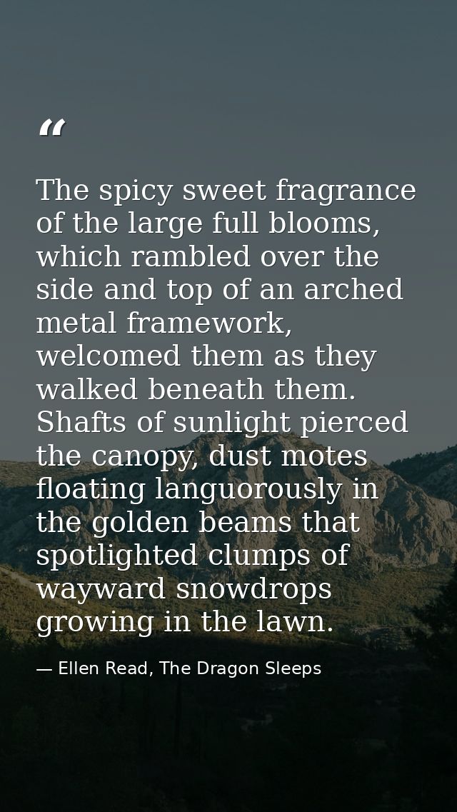 The spicy sweet fragrance of the large full blooms, which rambled over the side and top of an arched metal framework, we — Ellen Read, The Dragon Sleeps