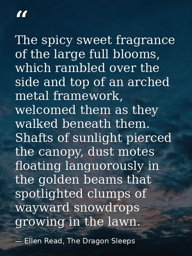The spicy sweet fragrance of the large full blooms, which rambled over the side and top of an arched metal framework, we — Ellen Read, The Dragon Sleeps