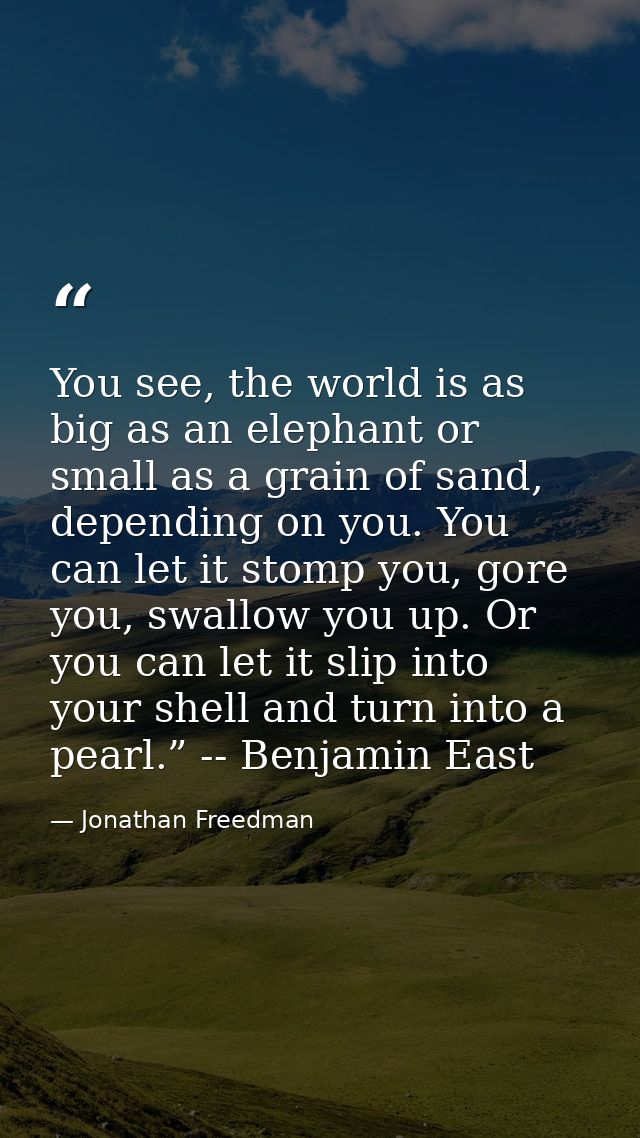 You see, the world is as big as an elephant or small as a grain of sand, depending on you. You can let it stomp you, gor — Jonathan Freedman