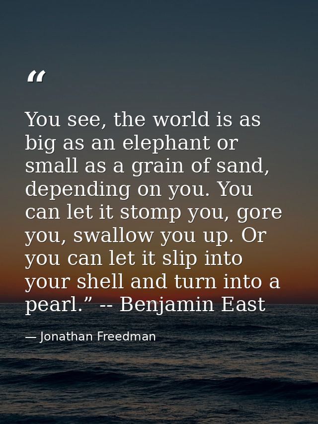 You see, the world is as big as an elephant or small as a grain of sand, depending on you. You can let it stomp you, gor — Jonathan Freedman