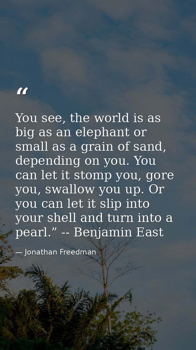 You see, the world is as big as an elephant or small as a grain of sand, depending on you. You can let it stomp you, gor — Jonathan Freedman