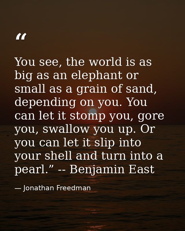 You see, the world is as big as an elephant or small as a grain of sand, depending on you. You can let it stomp you, gor — Jonathan Freedman