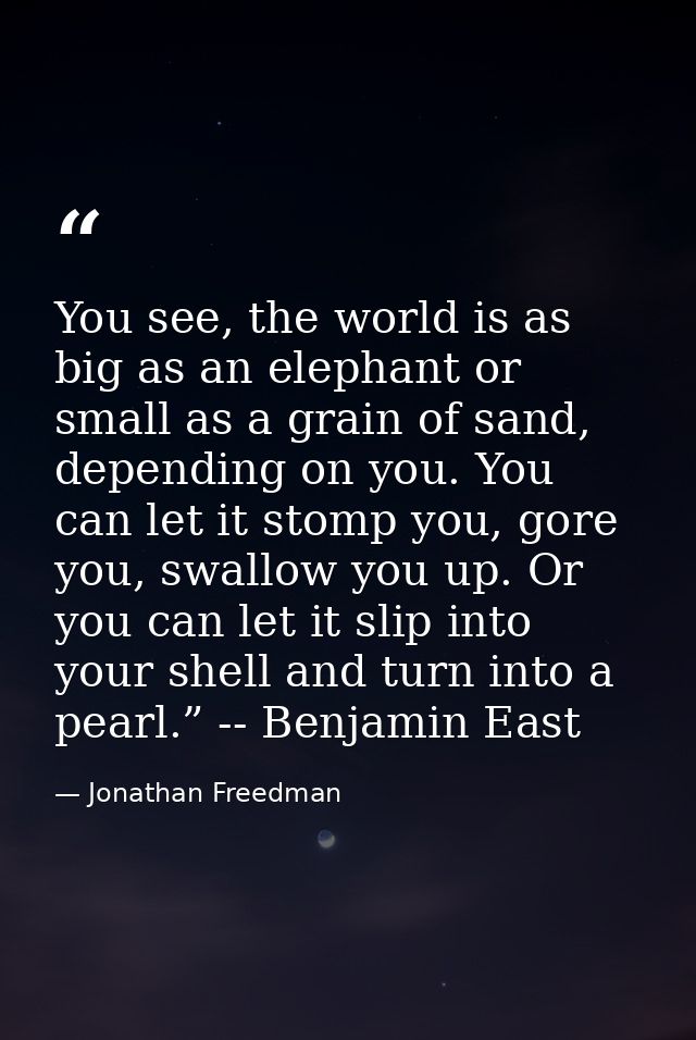 You see, the world is as big as an elephant or small as a grain of sand, depending on you. You can let it stomp you, gor — Jonathan Freedman