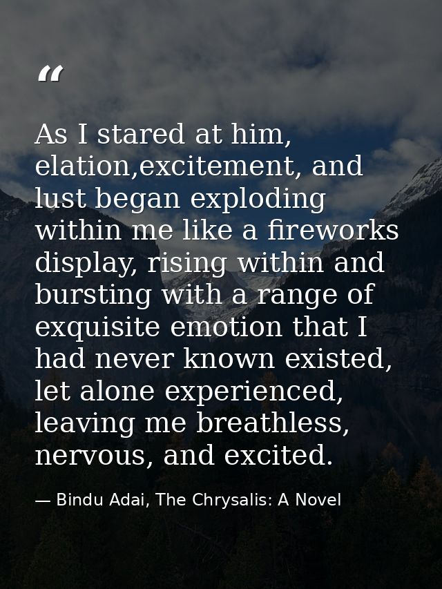 As I stared at him, elation,excitement, and lust began exploding within me like a fireworks display, rising within and b — Bindu Adai, The Chrysalis: A Novel