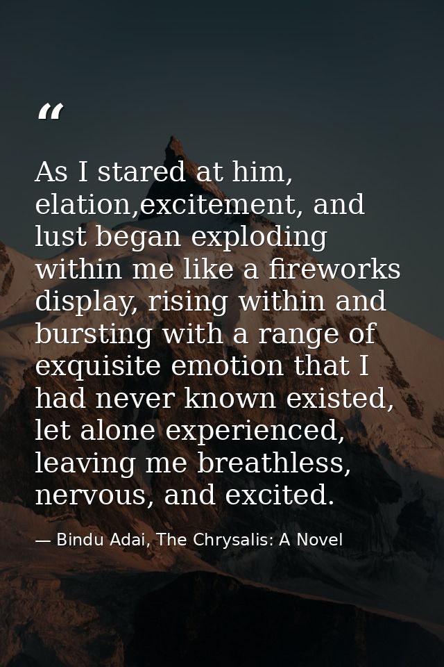 As I stared at him, elation,excitement, and lust began exploding within me like a fireworks display, rising within and b — Bindu Adai, The Chrysalis: A Novel