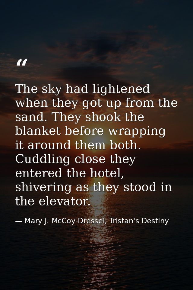 The sky had lightened when they got up from the sand. They shook the blanket before wrapping it around them both. Cuddli — Mary J. McCoy-Dressel, Tristan's Destiny