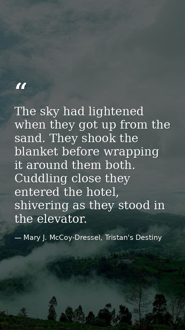 The sky had lightened when they got up from the sand. They shook the blanket before wrapping it around them both. Cuddli — Mary J. McCoy-Dressel, Tristan's Destiny