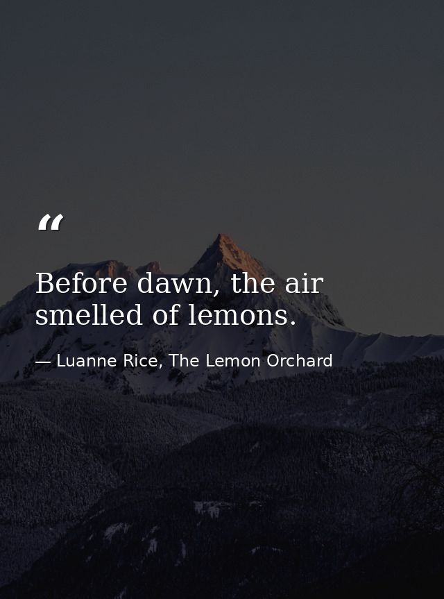 Before dawn, the air smelled of lemons. — Luanne Rice, The Lemon Orchard
