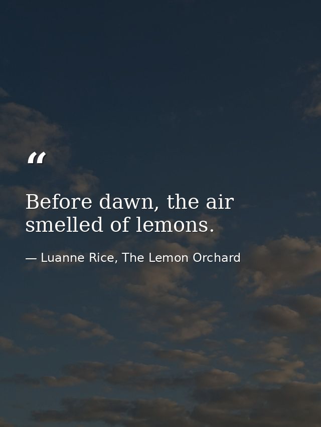 Before dawn, the air smelled of lemons. — Luanne Rice, The Lemon Orchard