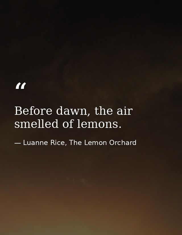 Before dawn, the air smelled of lemons. — Luanne Rice, The Lemon Orchard