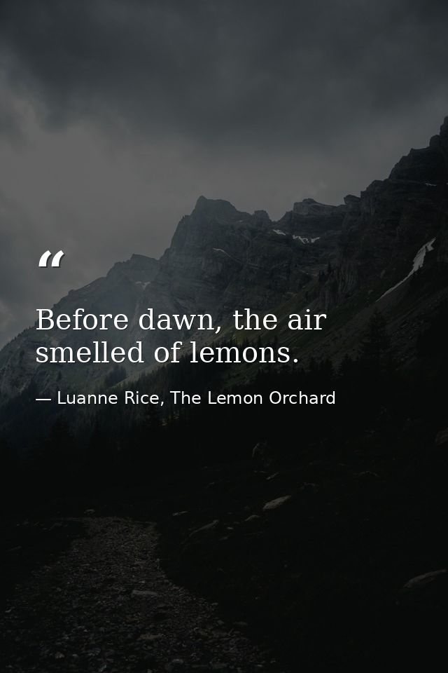 Before dawn, the air smelled of lemons. — Luanne Rice, The Lemon Orchard