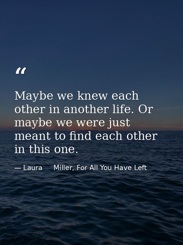 Maybe we knew each other in another life. Or maybe we were just meant to find each other in this one. — Laura     Miller, For All You Have Left