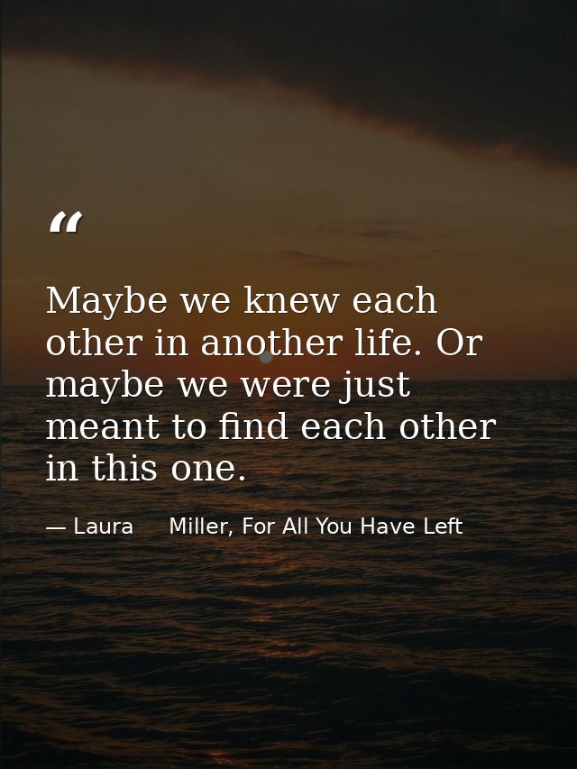 Maybe we knew each other in another life. Or maybe we were just meant to find each other in this one. — Laura     Miller, For All You Have Left