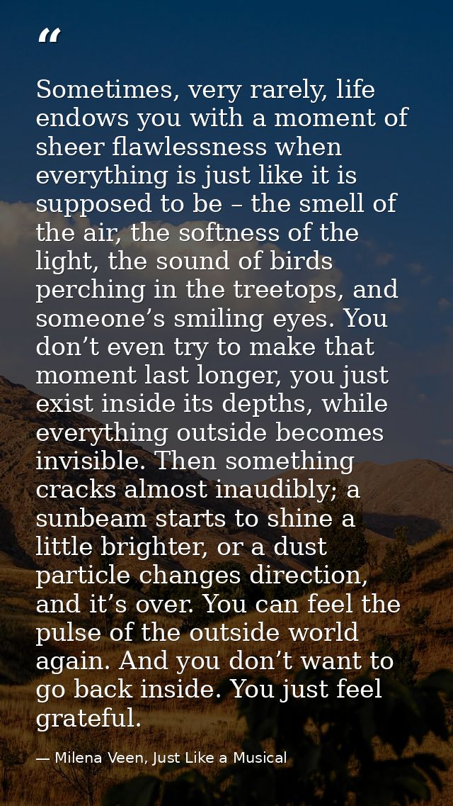 Sometimes, very rarely, life endows you with a moment of sheer flawlessness when everything is just like it is supposed  — Milena Veen, Just Like a Musical