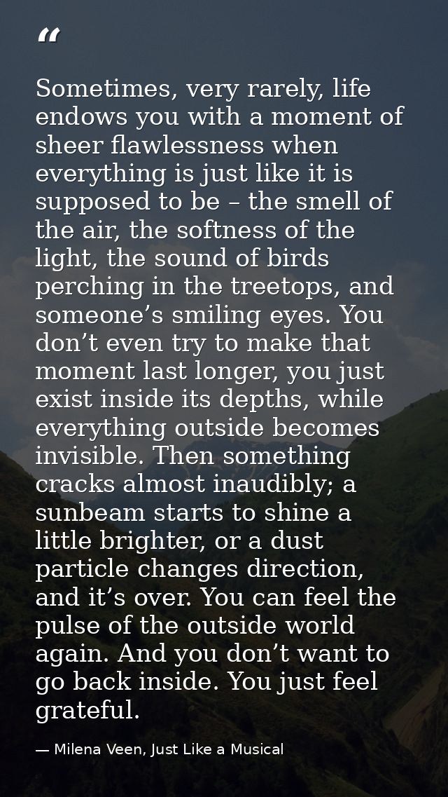 Sometimes, very rarely, life endows you with a moment of sheer flawlessness when everything is just like it is supposed  — Milena Veen, Just Like a Musical