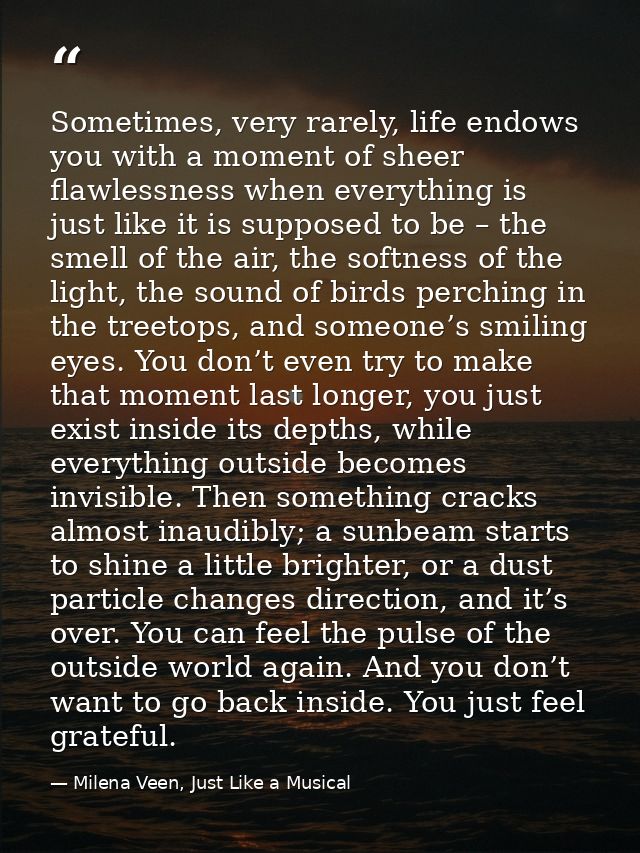 Sometimes, very rarely, life endows you with a moment of sheer flawlessness when everything is just like it is supposed  — Milena Veen, Just Like a Musical