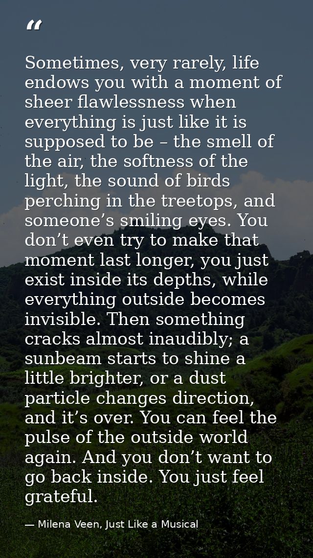 Sometimes, very rarely, life endows you with a moment of sheer flawlessness when everything is just like it is supposed  — Milena Veen, Just Like a Musical
