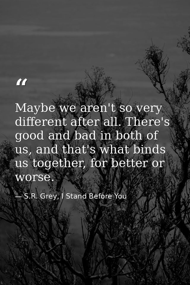 Maybe we aren't so very different after all. There's good and bad in both of us, and that's what binds us together, for  — S.R. Grey, I Stand Before You