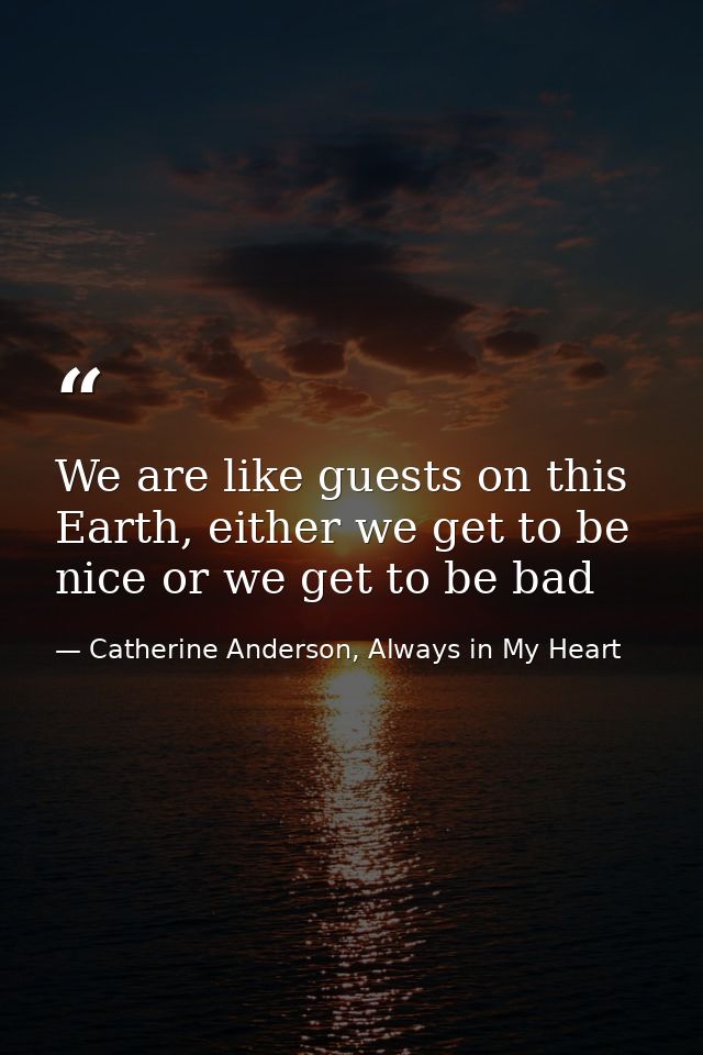 We are like guests on this Earth, either we get to be nice or we get to be bad — Catherine Anderson, Always in My Heart