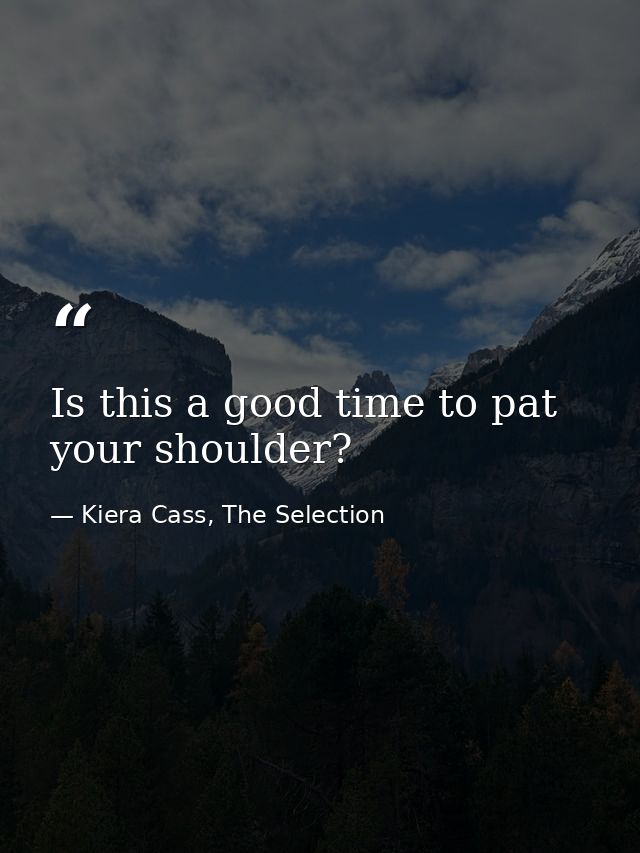Is this a good time to pat your shoulder? — Kiera Cass, The Selection