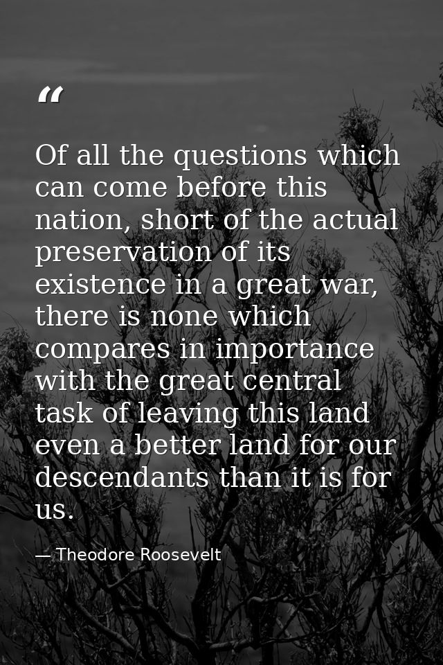 Of all the questions which can come before this nation, short of the actual preservation of its existence in a great war — Theodore Roosevelt