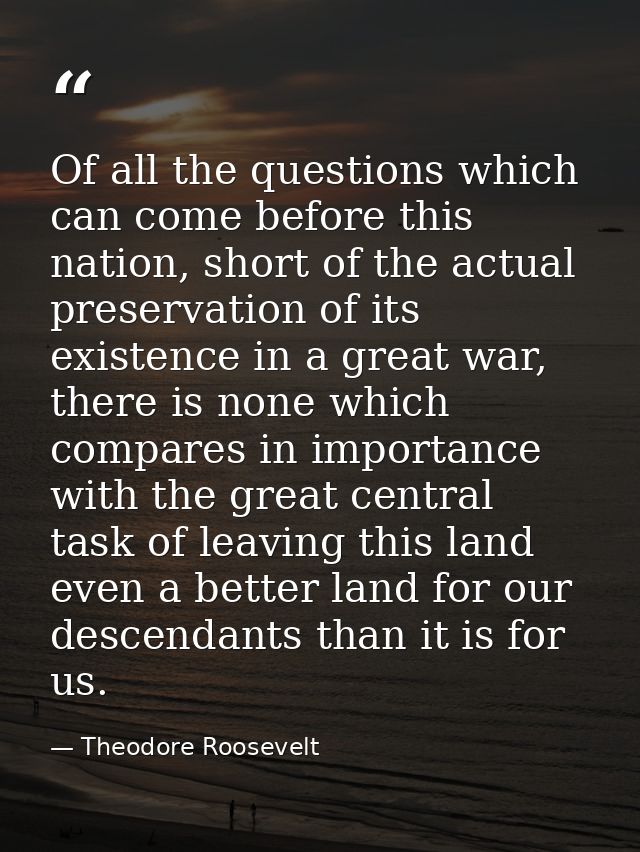 Of all the questions which can come before this nation, short of the actual preservation of its existence in a great war — Theodore Roosevelt