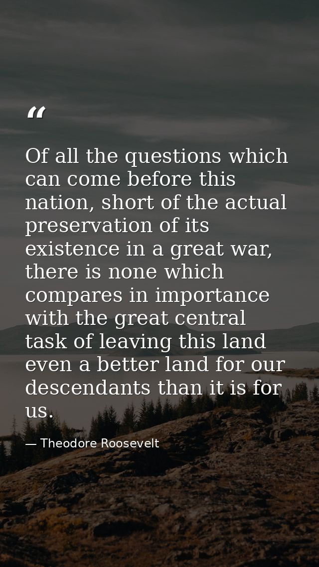 Of all the questions which can come before this nation, short of the actual preservation of its existence in a great war — Theodore Roosevelt