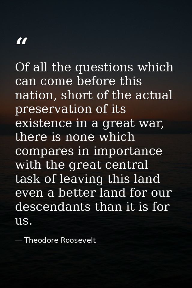 Of all the questions which can come before this nation, short of the actual preservation of its existence in a great war — Theodore Roosevelt