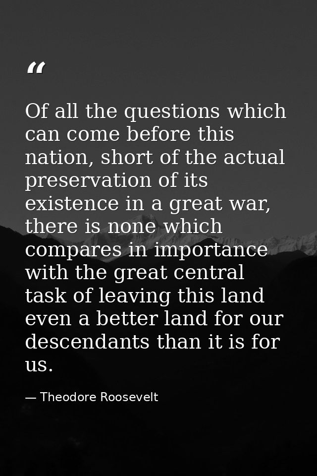 Of all the questions which can come before this nation, short of the actual preservation of its existence in a great war — Theodore Roosevelt