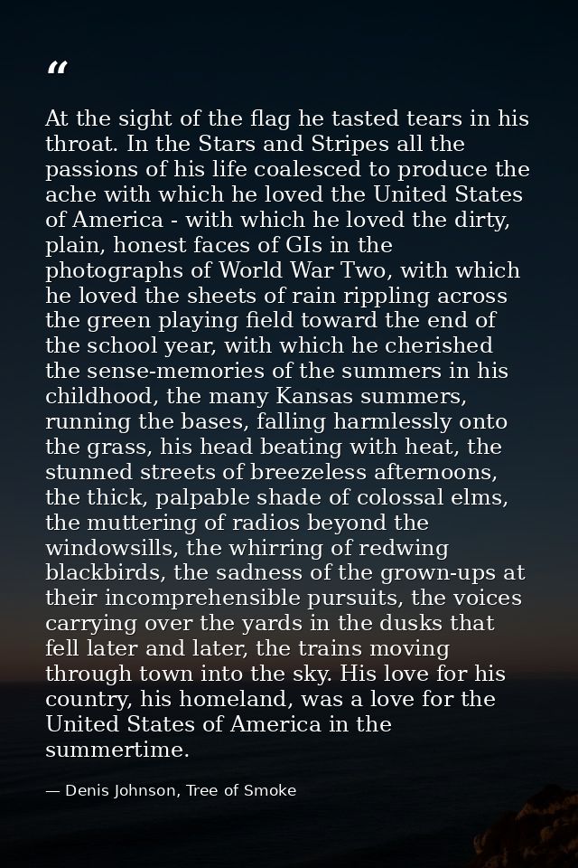 At the sight of the flag he tasted tears in his throat. In the Stars and Stripes all the passions of his life coalesced  — Denis Johnson, Tree of Smoke