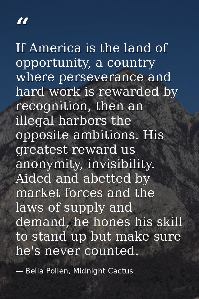 If America is the land of opportunity, a country where perseverance and hard work is rewarded by recognition, then an il — Bella Pollen, Midnight Cactus
