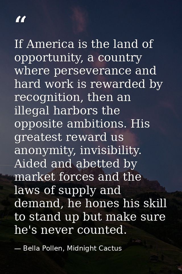 If America is the land of opportunity, a country where perseverance and hard work is rewarded by recognition, then an il — Bella Pollen, Midnight Cactus