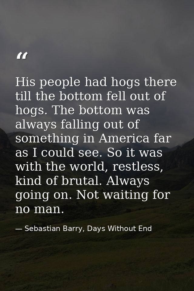 His people had hogs there till the bottom fell out of hogs. The bottom was always falling out of something in America fa — Sebastian Barry, Days Without End