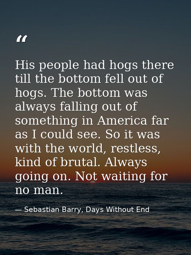 His people had hogs there till the bottom fell out of hogs. The bottom was always falling out of something in America fa — Sebastian Barry, Days Without End